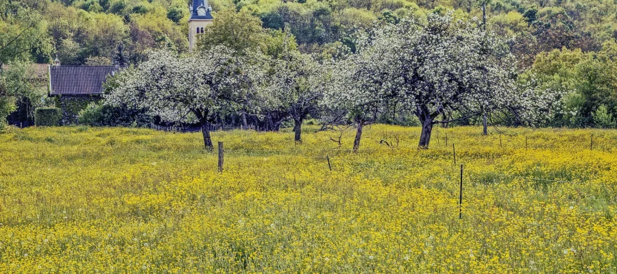 vie rurale